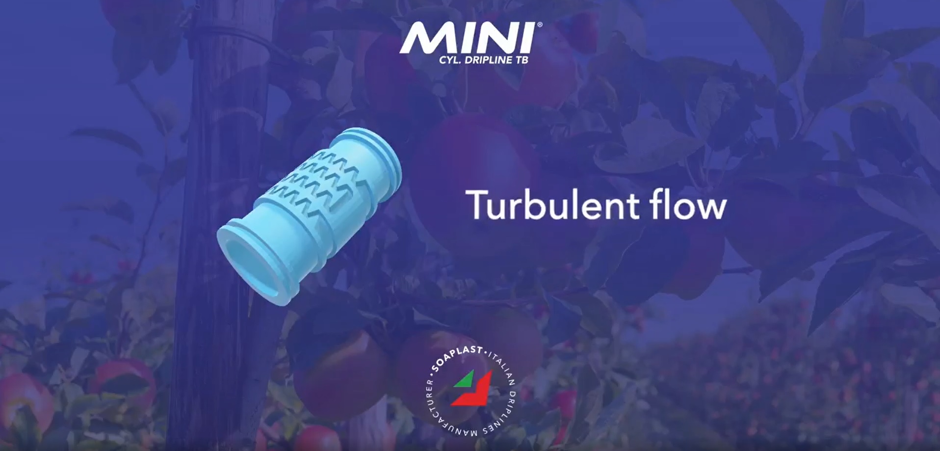 mini soaplast
